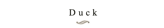 Duck 